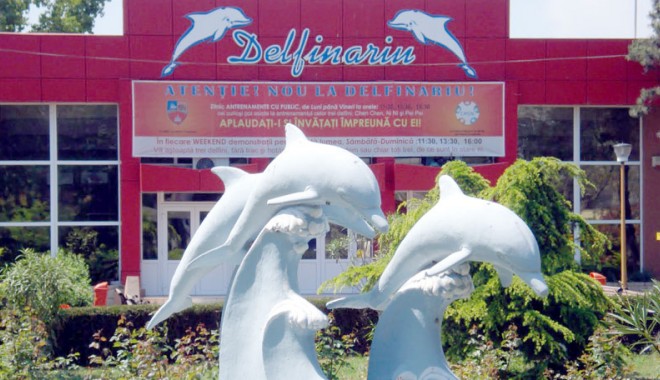 Delfinariul scade tarifele pentru vizitatori - delfinariul-1409938195.jpg