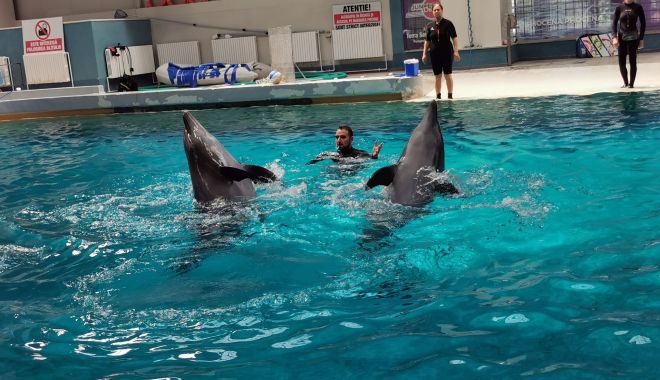 Delfinariul Constanţa, închis timp de o săptămână! - delfinariul-1631172563.jpg