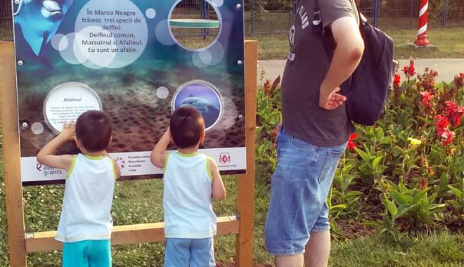 Delfinii din Marea Neagră, aduși, de ziua lor, în Parcul Tăbăcărie - delfiniidinmareaneagra-1438624222.jpg