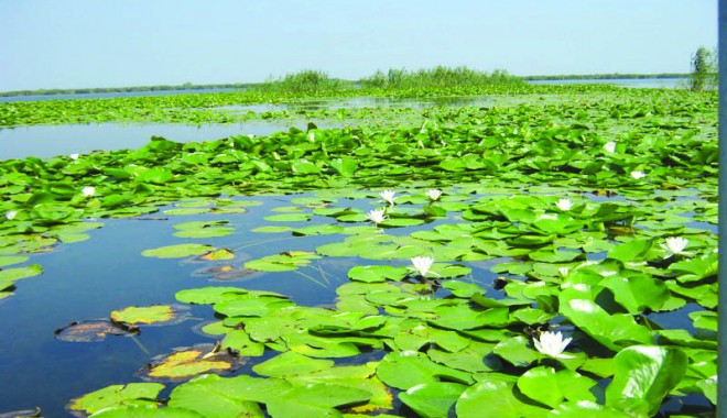 Natură, pescuit și aventură, într-o vacanță în Delta Dunării - delta-1406285885.jpg