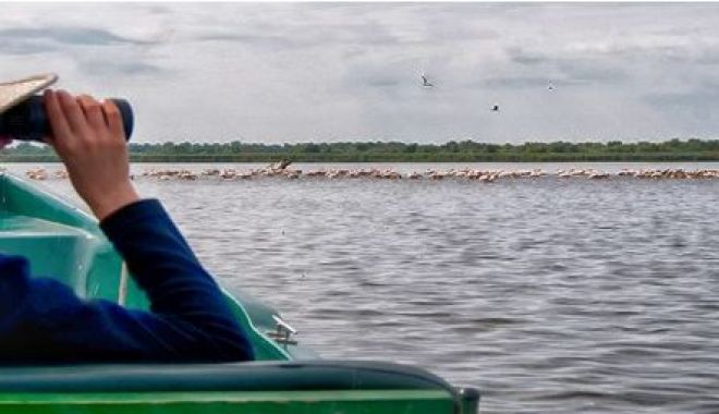 Turismul de observare a păsărilor în Delta Dunării, creștere spectaculoasă în ultimii ani - delta-1548836815.jpg