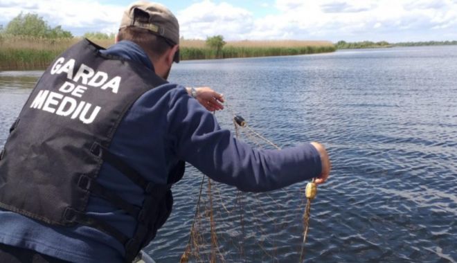 Plasele ilegale confiscate de comisari în Delta Dunării pot înconjura 37 de terenuri de fotbal - delta-1640283633.jpg