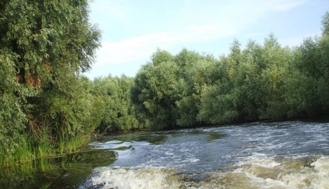 Tragedie în Delta Dunării. Doi morți și doi dispăruți - deltadunarii13-1363433065.jpg
