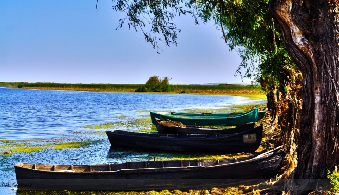 Oferte speciale pentru vacanțe în Delta Dunării - deltadunariialicantemir-1461589928.jpg