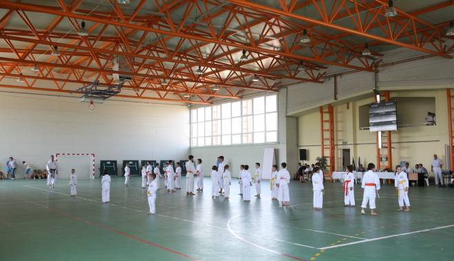În Mangalia se vor construi noi săli de sport - demonstratieartemartialenavodari-1426008928.jpg