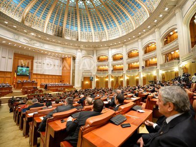 Activitatea în Comisia juridică va fi reorganizată în trei subcomisii - deputatiandreeaalexandru-1484149787.jpg