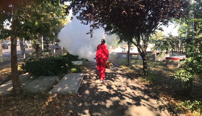 Accesul în Ţara Piticilor şi la Gravity Park, restricţionat mai multe ore! Iată când - deratizare-1655290339.jpg