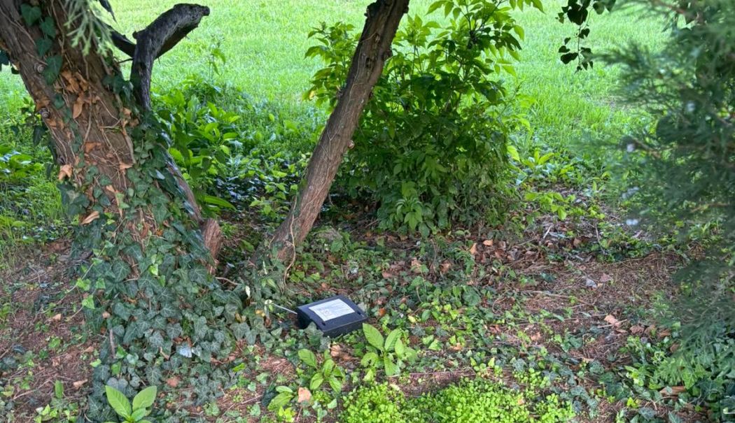 Acțiunile de deratizare, reluate în municipiul Constanța și stațiunea Mamaia - deratizare-1728888608.jpeg
