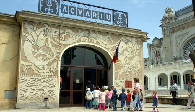 Descoperă lumea acvatică vizitând Acvariul din Constanța - descoperalumeaacvatica-1566803057.jpg