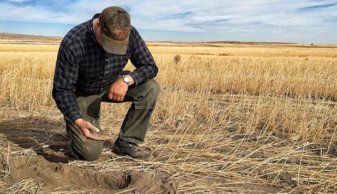 Seceta pedologică se menţine pe suprafeţe extinse din Muntenia şi Do-brogea (agrometeo)