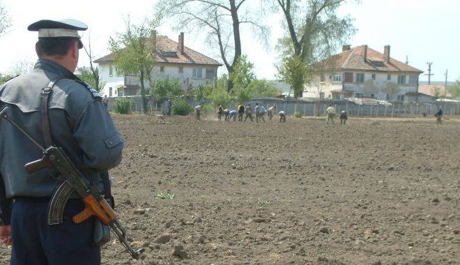 Deținuții nu mai ies la muncă în afara penitenciarelor - detinutimunca2-1602693867.jpg