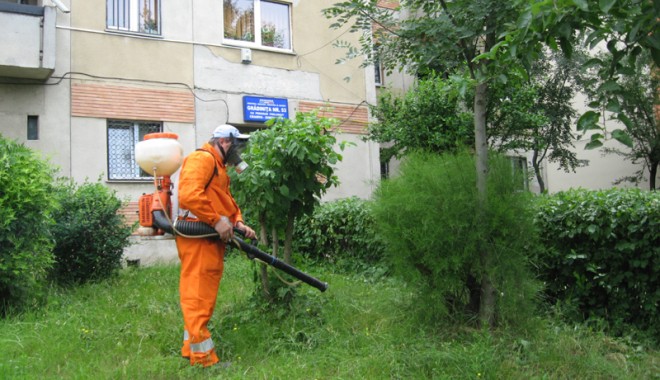 I-au scăpat din mână pe ucigașii de țânțari și căpușe - dezinsectie-1344018209.jpg