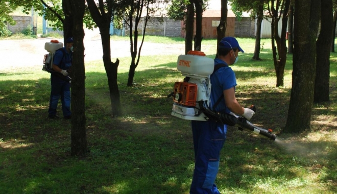 Primăria Medgidia dă startul dezinsecției de primăvară - dezinsectie-1461253043.jpg