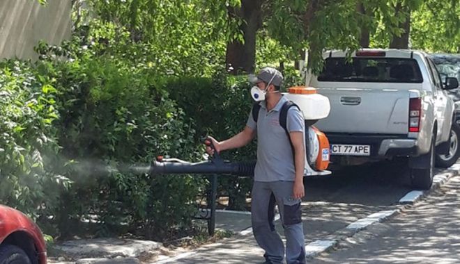 Dezinsecție în cartierele Constanței. Unde se acționează - dezinsectie-1589195616.jpg
