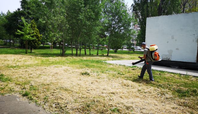 Primăria Medgidia va executa servicii de dezinsecţie. Apicultorii sunt avertizaţi să ia măsuri - dezinsectie-1600259344.jpg