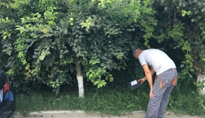 Dezinsecție și deratizare, în cartiere din Constanţa - dezinsectie-1626200003.jpg
