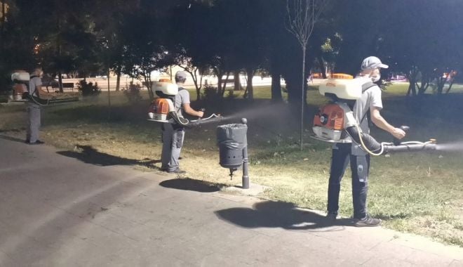 Dezinsecţie săptămânală în cartierele Constanţei - dezinsectie-1629300360.jpg