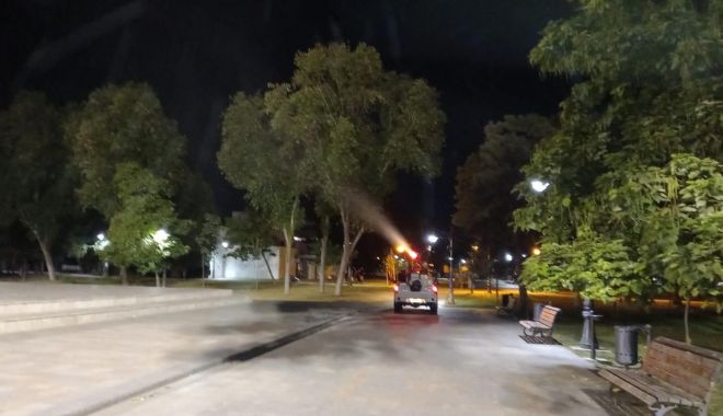 Acţiuni dezinsecţie, noaptea, în municipiul Constanţa - dezinsectie-1629797805.jpg