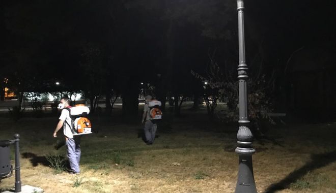 Continuă dezinsecția în municipiul Constanța! - dezinsectie1-1562237527.jpg