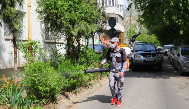 Acțiunile de dezinsecție continuă și în această săptămână - dezinsectie1-1588681419.jpg