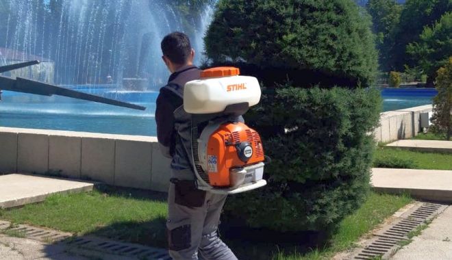 Dezinsecția continuă în Constanța! Iată în ce zone se acționează astăzi - dezinsectie1-1590415365.jpg