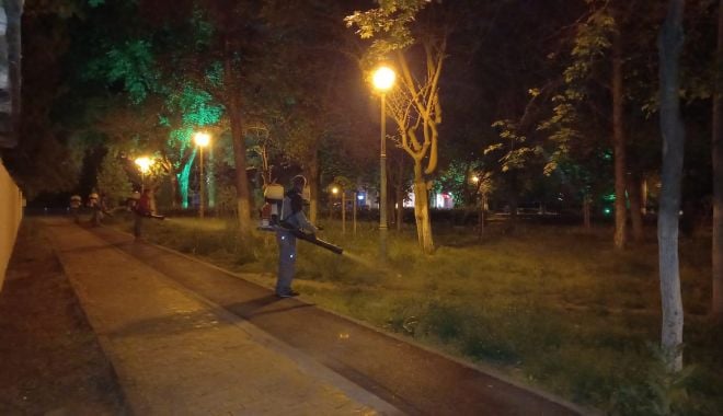 Anunț important de la administrația locală privind dezinsecţia în mai multe zone ale Constanţei - dezinsectie1-1621869055.jpg