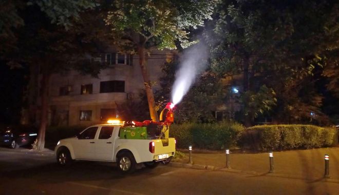 Dezinsecția continuă, în toate cartierele constănțene - dezinsectie1-1629279651.jpg