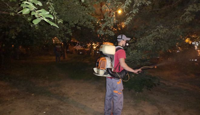 Continuă dezinsecția în municipiul Constanța! - dezinsectie10-1565344097.jpg