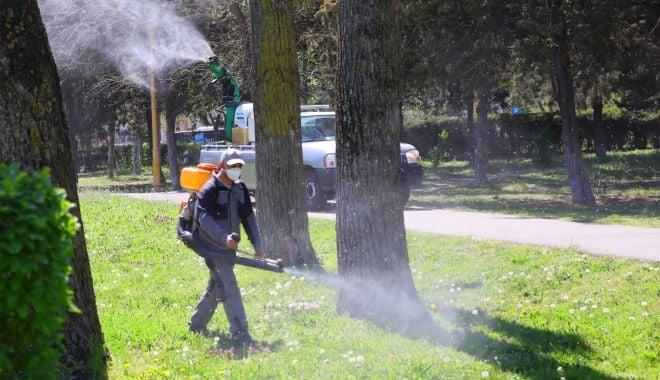 Primăria Constanţa a început dezinsecția în toate cartierele - dezinsectie10-1623071954.jpg