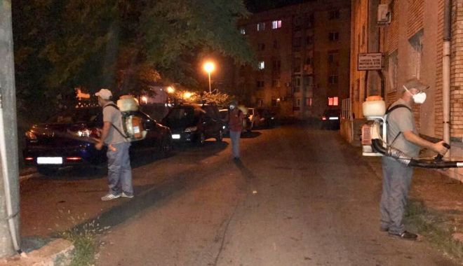 Primăria a început dezinsecția. Ce cartiere sunt vizate astăzi - dezinsectie21082-1534835557.jpg