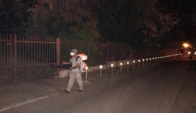 Constanța continuă lupta cu insectele! - dezinsectie3-1562742917.jpg
