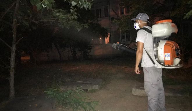 Dezinsecție în spațiile verzi din Constanța - dezinsectie6-1594751809.jpg