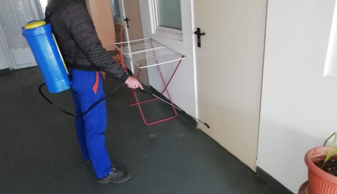 Dezinsecție în cartierul Henri Coandă - dezinsectieincartierul-1576700925.jpg