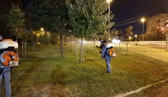 Dezinsecţie săptămânală în cartierele constănţene - dezinsectiesaptamanala-1631459802.jpg