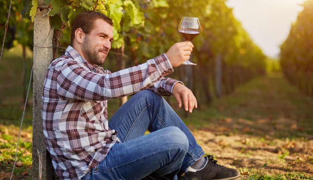 Diferențe culturale… la un pahar de vin - diferente-culturale-1765819185.webp