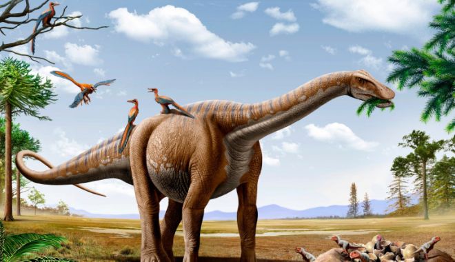 Una dintre cele mai vechi și importante întrebări privind dinozaurii ar putea avea acum un răspuns - dinozauri-1653832961.jpg