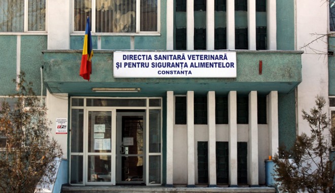 Se anunță  iarnă grea. Direcția Sanitară cumpără opt tone de motorină - directiasanitarveterinara7-1353846750.jpg