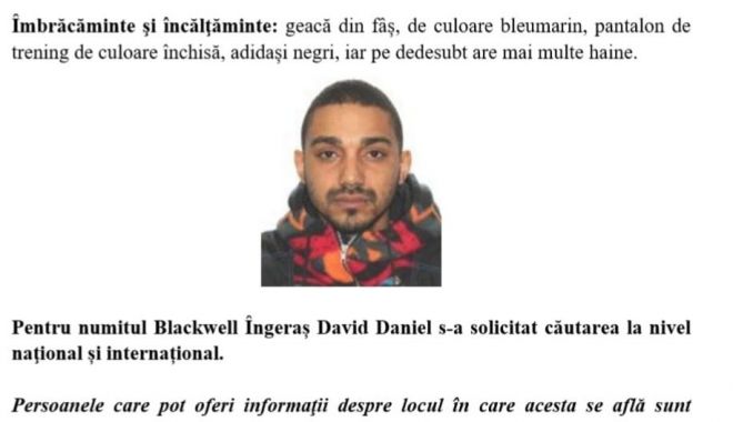 A dispărut Blackwell Îngeraș. Dacă l-ați văzut, anunțați imediat Poliția! - disparitie-1552415976.jpg