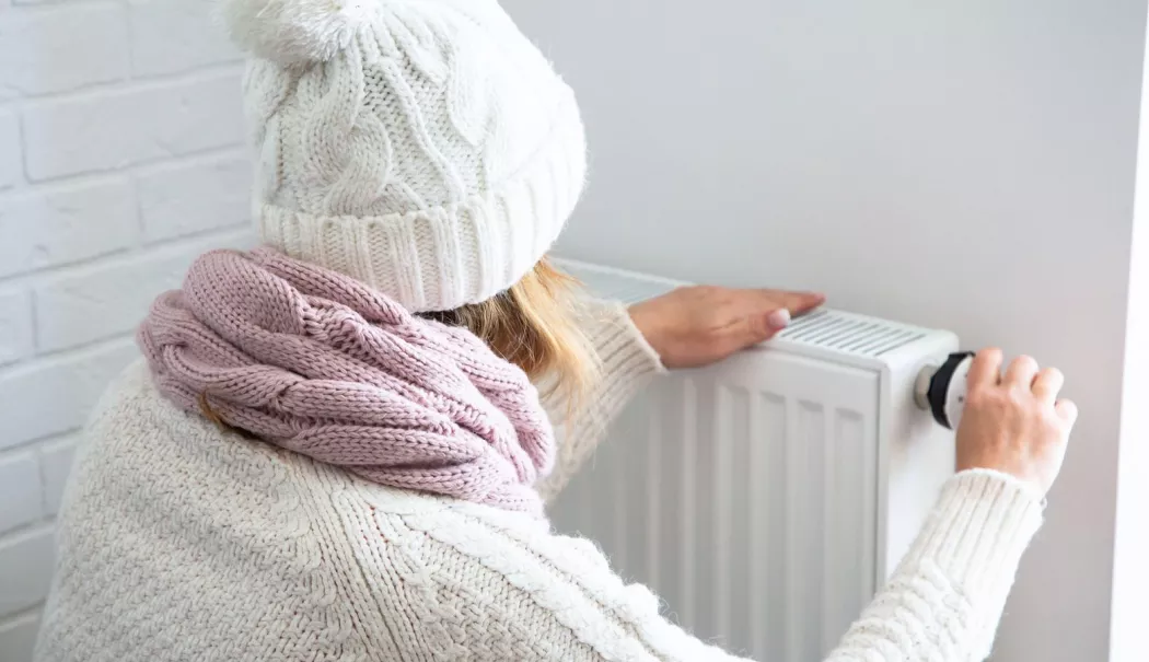 Termoficare Constanța recomandă sistemul prin distribuție pe orizontală - distributie-1773423093.webp