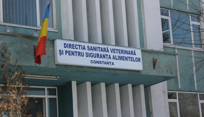 ANI: Fostul director al DSVSA CONSTANȚA, GHEORGHE DINCĂ, incompatibil - dnadsvsa1392974128-1400742058.jpg