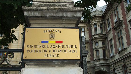 DNA face percheziții la Ministerul Agriculturii - dnaminister-1420726261.jpg