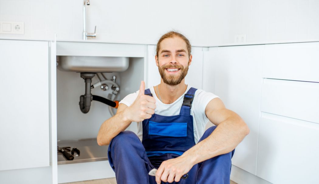 Doctorul și instalatorul - doctorul-1756047238.jpg