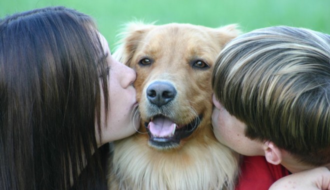 Ce câine e mai prietenos,  femela sau masculul? - dogwithkids-1331474516.jpg