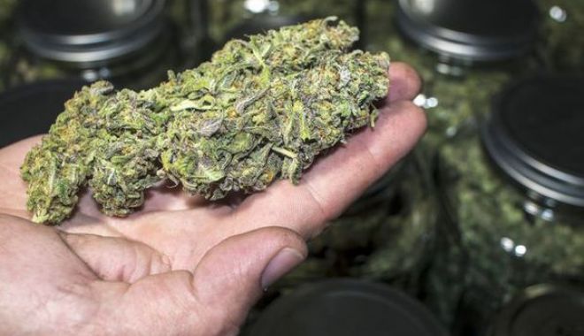 Doi bărbaţi, prinşi în flagrant delict, cu cannabis - doibarbati-1601478490.jpg