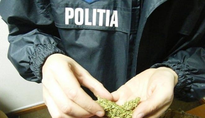 Bărbat din Năvodari, depistat cu droguri. S-a ales cu dosar penal - dosarepenaletraficdedroguri-1554273617.jpg