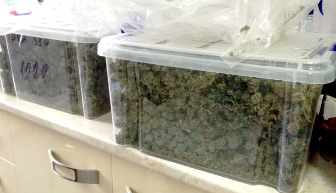Prinse în flagrant în timp ce vindeau 5 kilograme de cannabis - douafemei2-1519323721.jpg