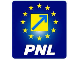 Primarii Marius Ștefan și Viorel Petre, reconfirmați președinți ai PNL - download1-1492004076.jpg