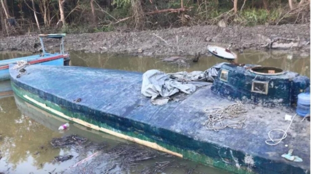 Operațiune anti-drog fără precedent. Au fost confiscate 47 de avioane și peste 10.000 de animale - drog55160500-1550824372.jpg
