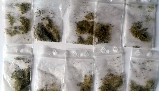 Etnobotanicele, la orice pas prin Constanța - droguri-1445885566.jpg