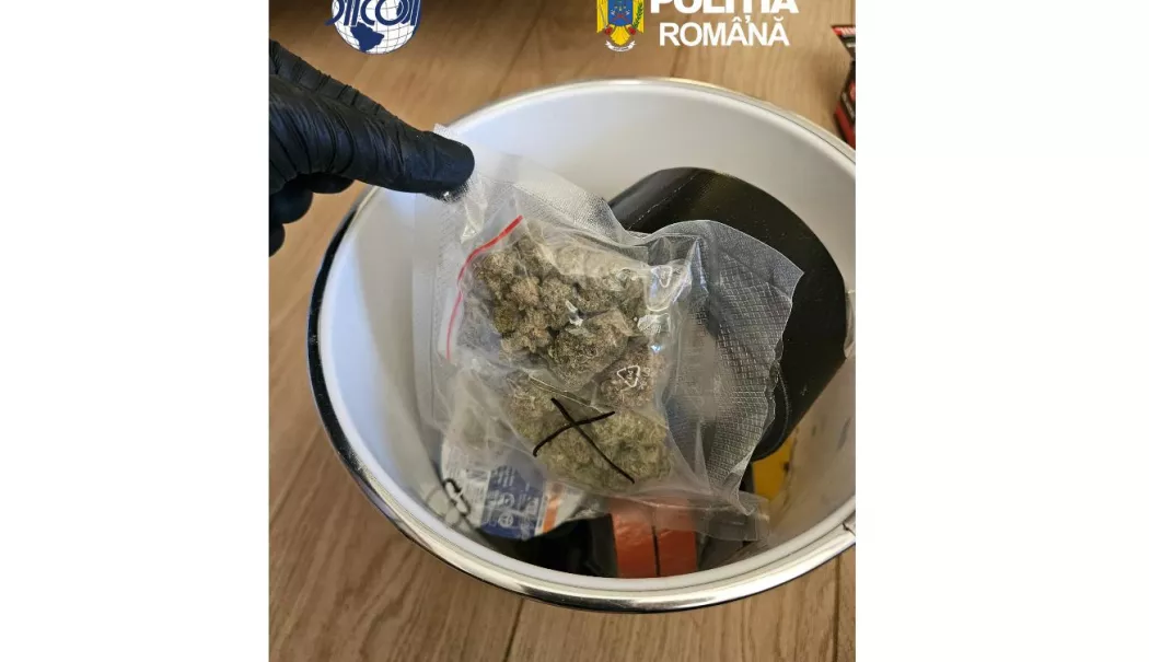 Foto - Captură importantă de droguri la Constanța. Doi tineri au fost reținuți de DIICOT